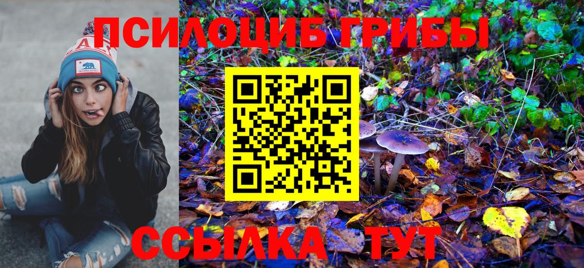 Псилоцибиновые грибы MAGIC MUSHROOMS  Вход с VPN  Кемерово 